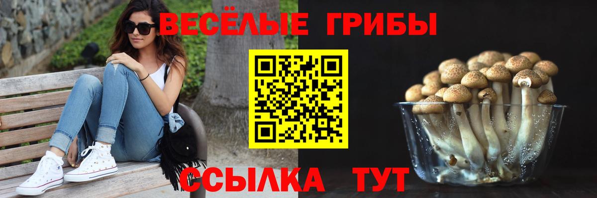 купить закладку  Вход с VPN  Крымск  Галлюциногенные грибы прущие грибы 